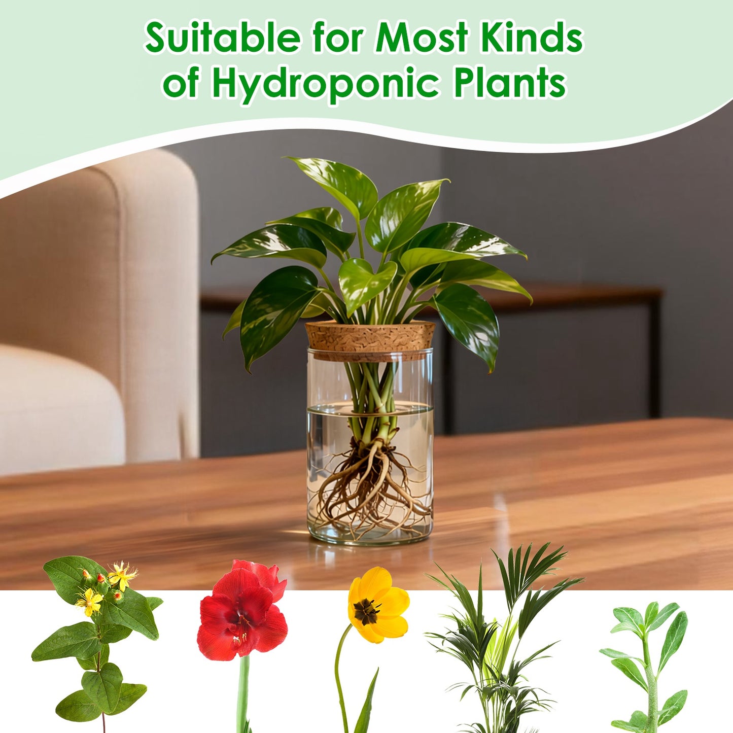 4 Pack Glass Plant Propagation Stations Hydroponic Vases with Cork Lids