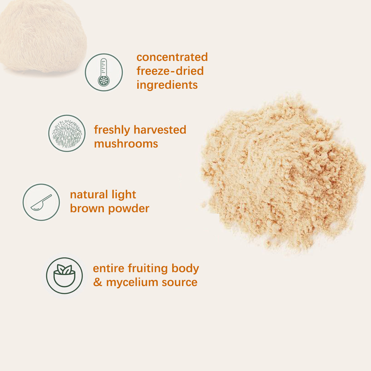 Organic Lion's Mane Mushroom Powder 454g