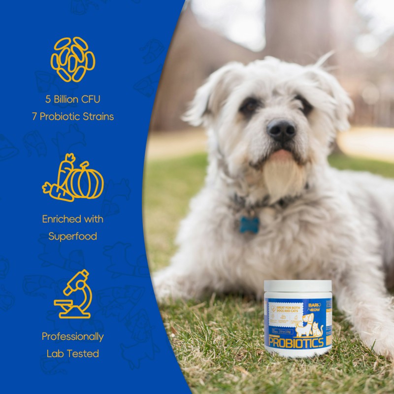 Pet Probiotics for Dogs & Cats - Gut & Immune Support, 7 Strains, 5 Billion CFU