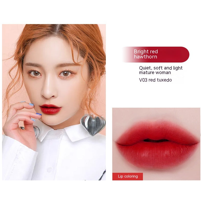 Velvet Lip Lacquer Set - Long Lasting Moisturizing Lipstick in Multiple Colors