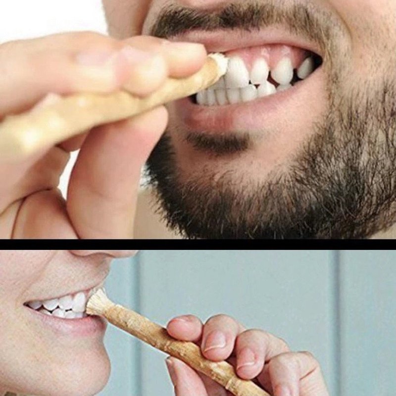 Home Cleaning Teeth Brushing Stick - Multi-Color Tree Branch Design
