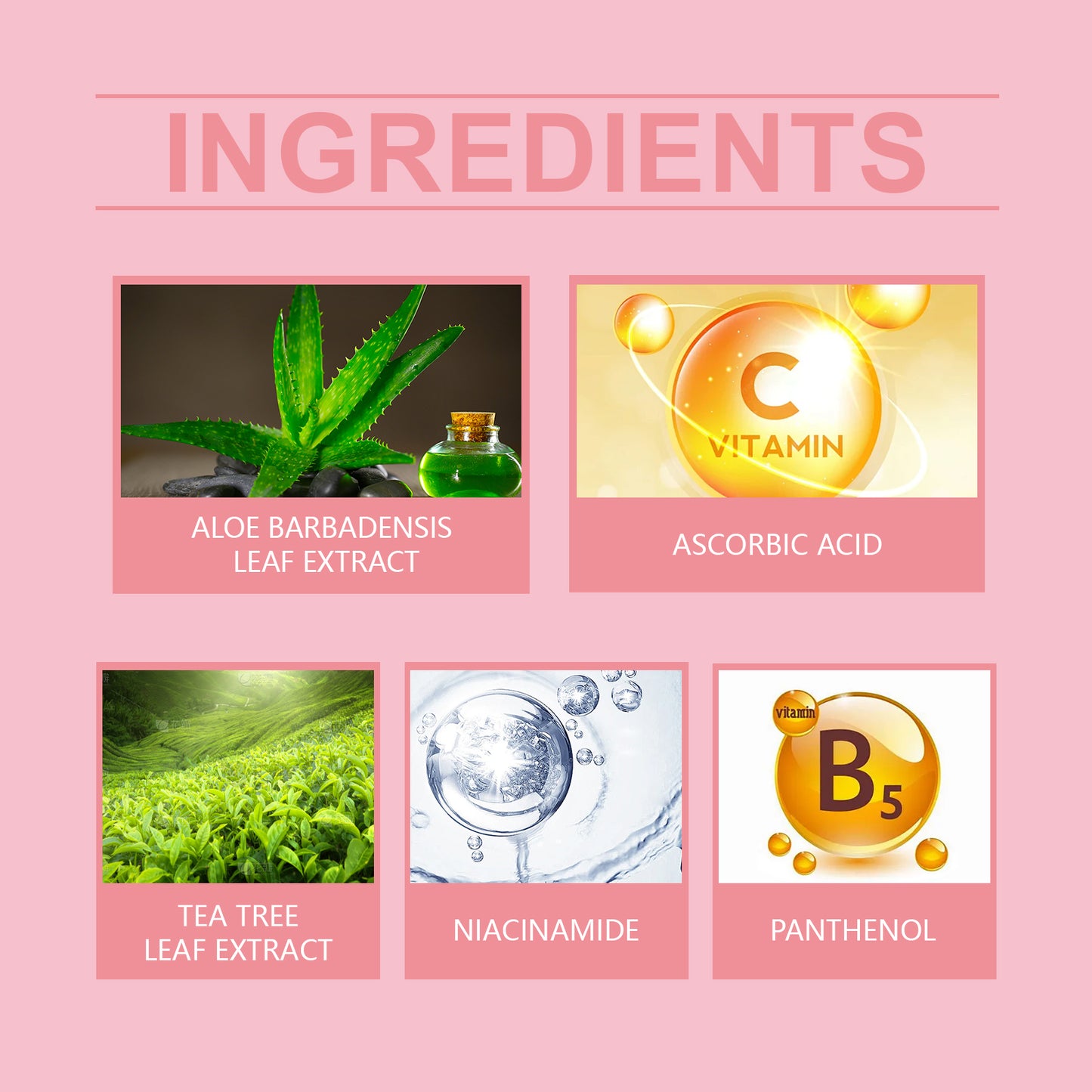 Aloe Vera Moisturizing Face Gel with Vitamin C & Tea Leaf Extract, 100ml