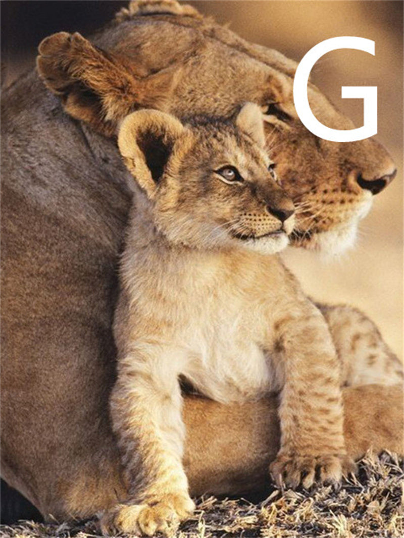 5D Diamond Embroidery Kit Lion Animal Cross Stitch DIY Art Craft Set