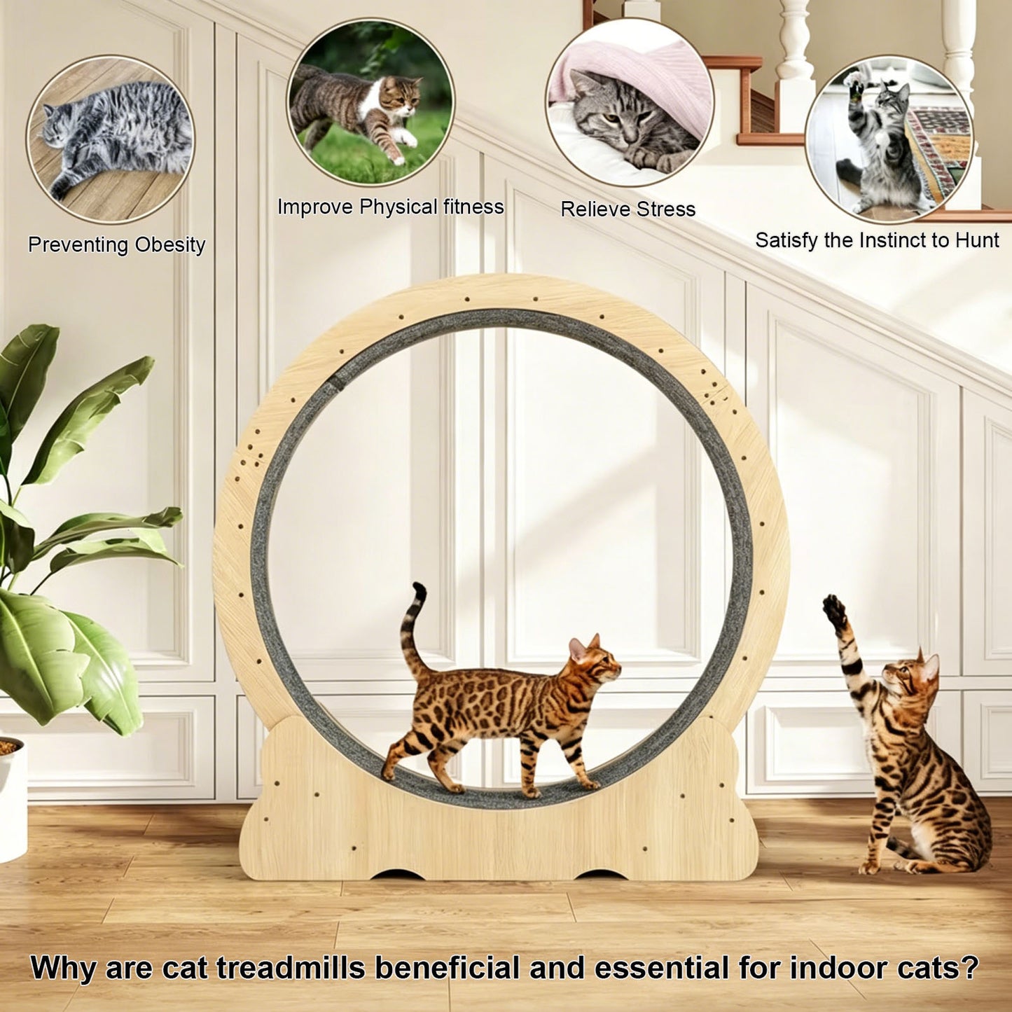 Large Indoor Cat Treadmill with Quiet Running Wheel and Detachable Carpet - Sturdy Exercise Wheel for Cats