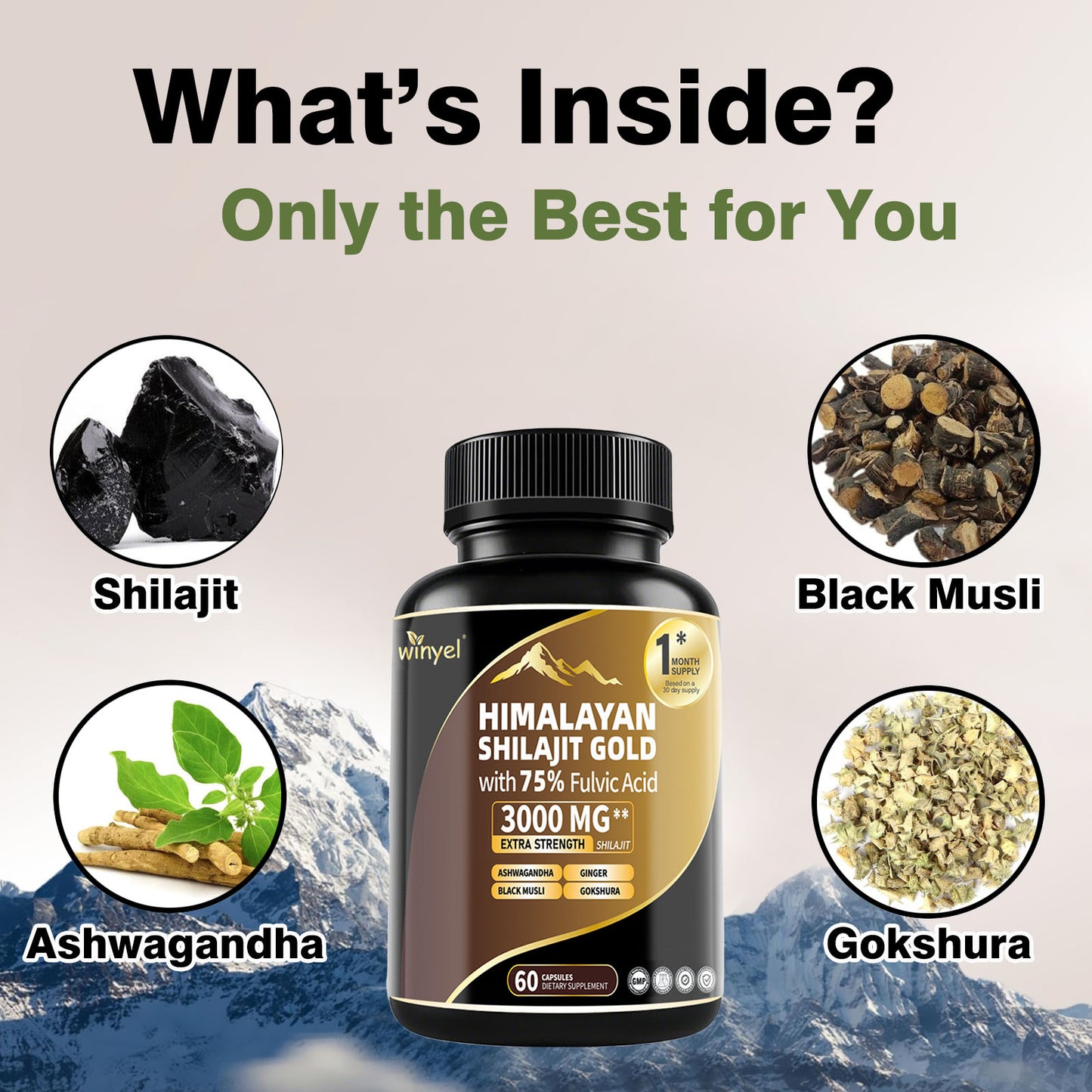 Himalayan Shilajit Capsules with Ashwagandha & Gokshura - 60 Capsules