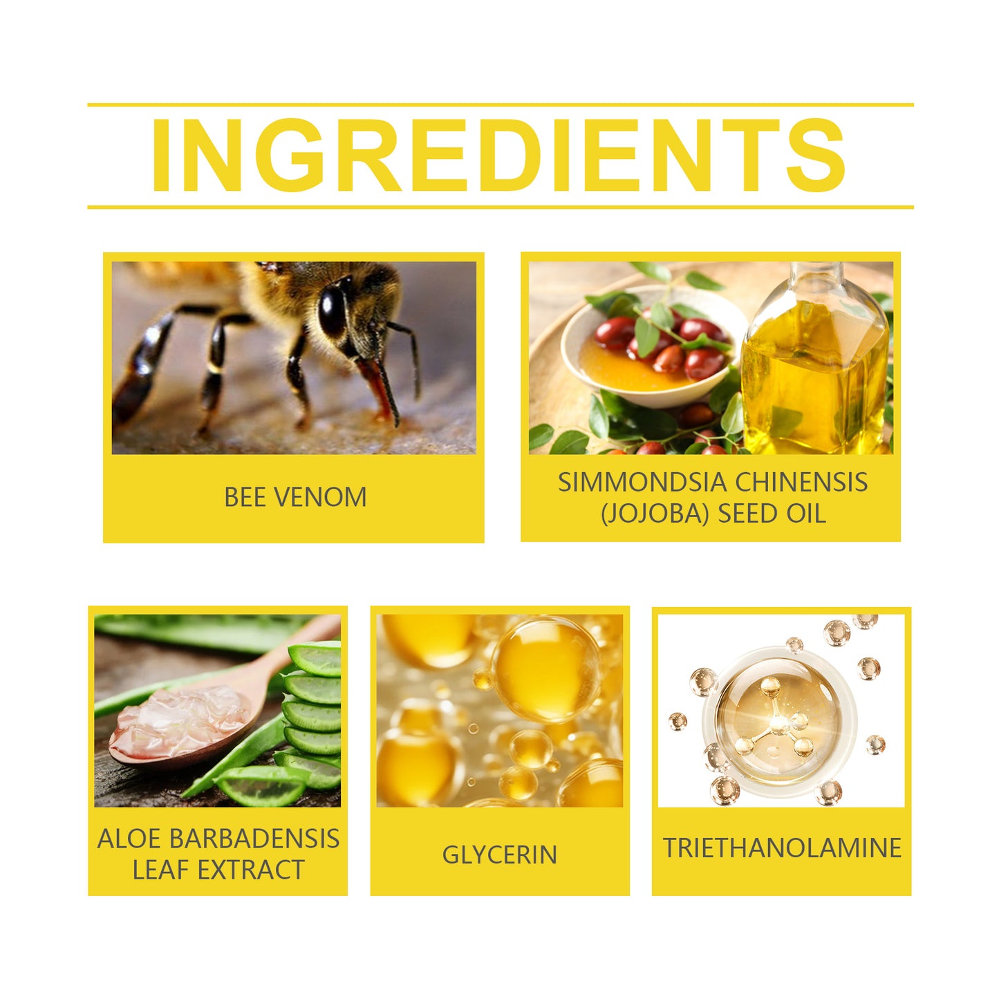 Soothing Leg Massage Cream - Bee Venom & Aloe Relief Treatment