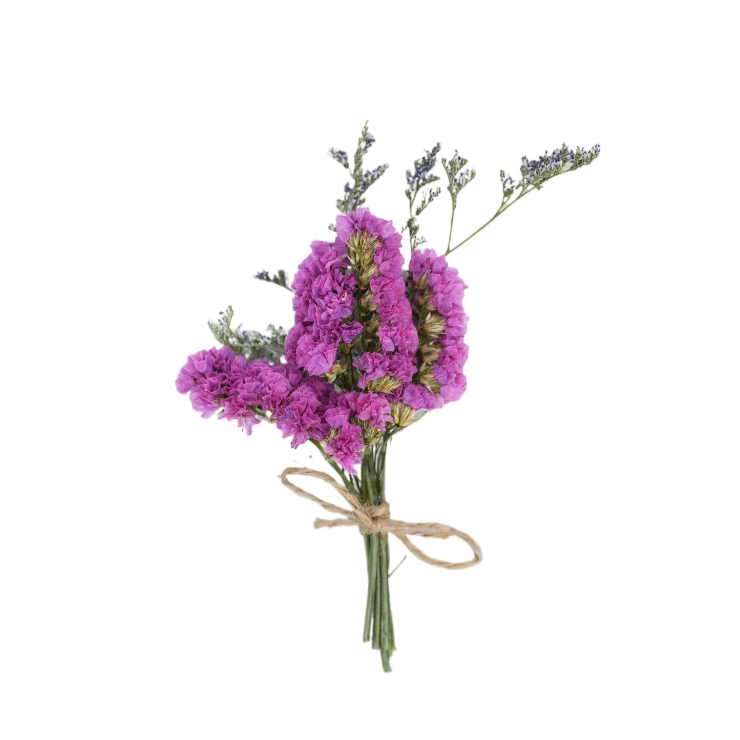 Mini Dried Flower Bouquet Gift for Home Decor and Crafts - Assorted Styles 1-20pcs