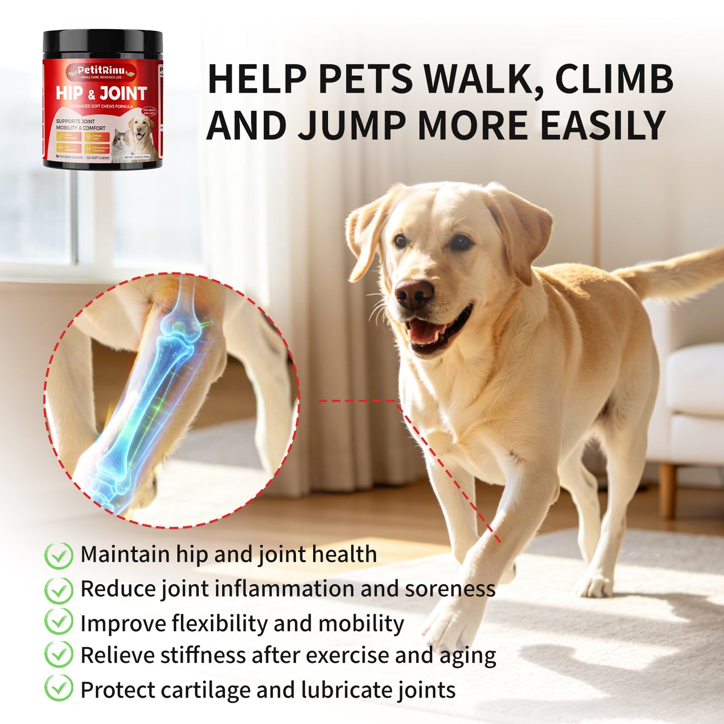 Joint Supplement for Dogs & Cats - Pet Vitamins and Support