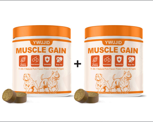 Pet Muscle Support Soft Chew Tablets for Active Pets — CJ