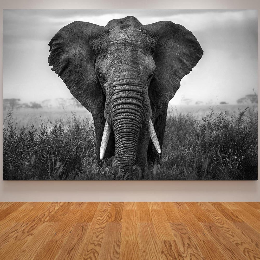 Elephant Wall Art Poster Canvas Print Black and White Animal Decor