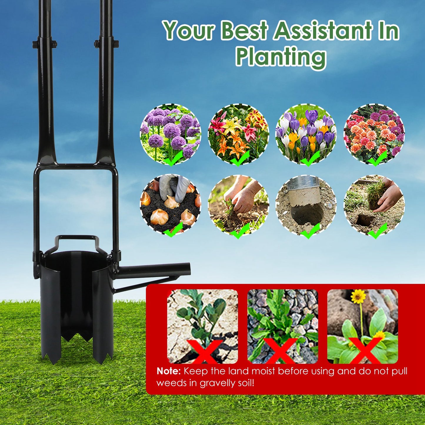 Garden Bulb Planter Tool 5-in-1 Long Handle Gardening Transplanter with Gloves