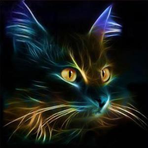Diamond Painting Kit 40x40cm Cat Pattern Home Decor Craft