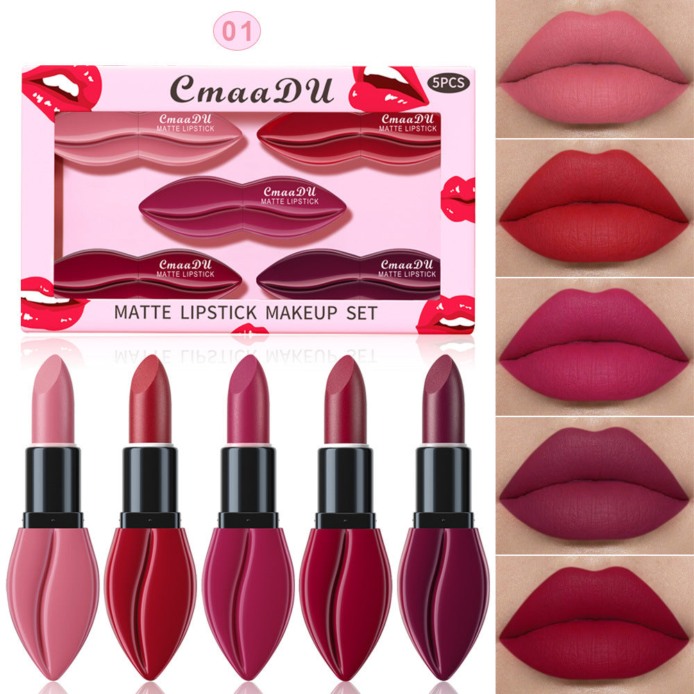 Matte Lipstick Set - Versatile & Easy to Apply, 5-Piece
