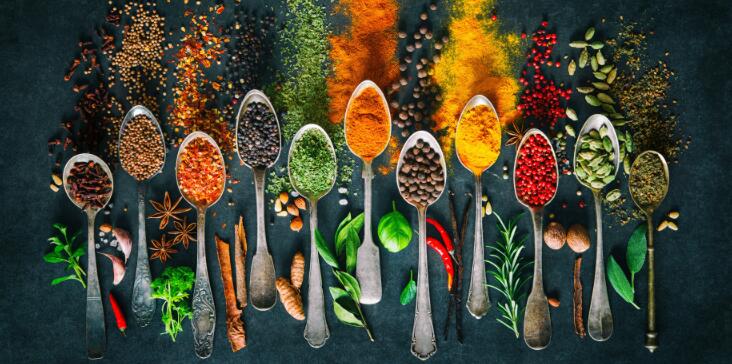 Herb and Spice Cooking Art Canvas Posters - Kitchen Wall Decor
