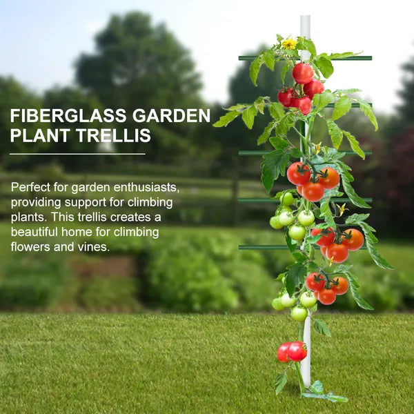 2FT x 6FT White Round Tube Climbing Trellis for Plants