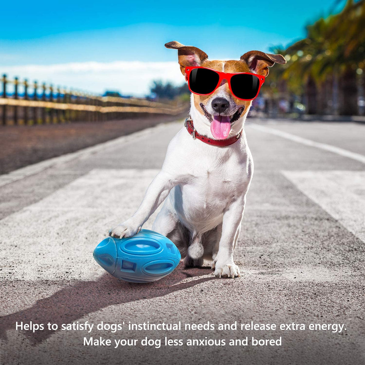 Durable Rubber Dog Toy with Squeaker - Interactive Bite-Resistant Fetch Ball