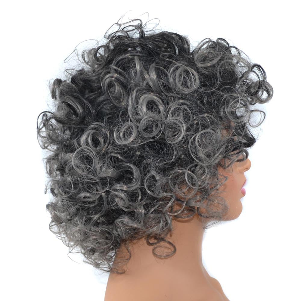 Black Gradient Grey Synthetic Wig for Women - High-Temperature Fiber, Ethnic Style, 30cm
