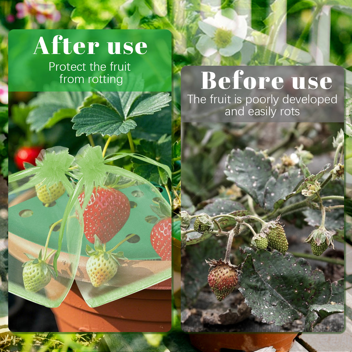 8 Pack Strawberry Plant Supports with Bags Garden Supports Green