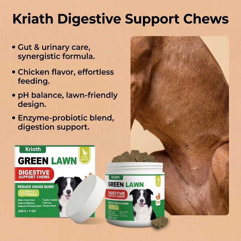 Dog Digestive Health Chewing Tablets - 200g