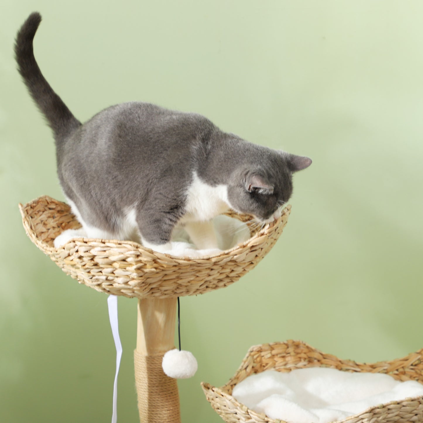 37-Inch Modern Wooden Cat Tree with Condo, Beds, Toys & Anti-Tip Kit