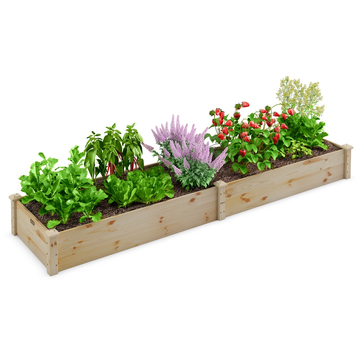 Wooden Vegetable Raised Garden Bed for Outdoor Patio & Balcony