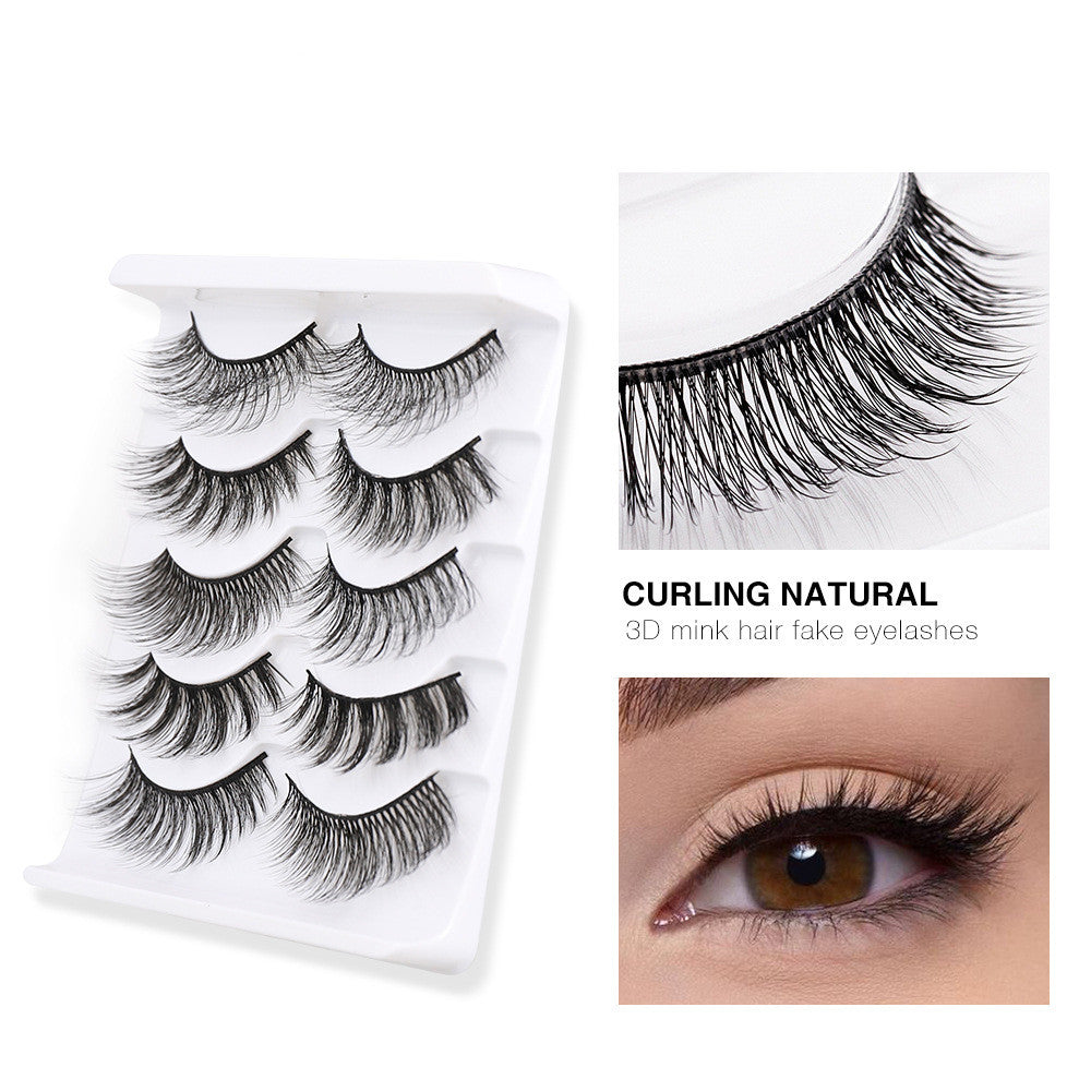 Natural 3D False Eyelashes 5 Pairs - Dense, Curly, Lightweight