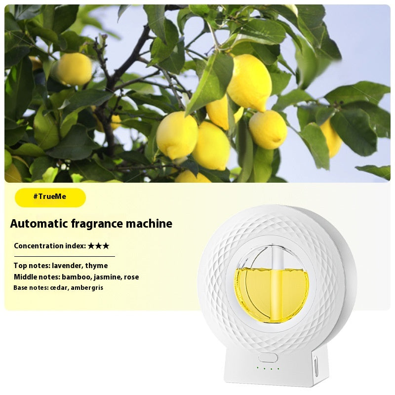 Wall-Mounted Aromatherapy Diffuser with Essential Oil Set for Home Spa