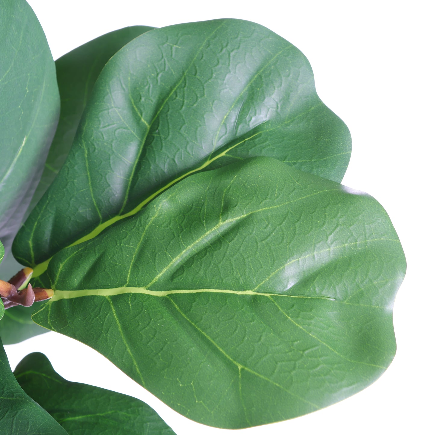 Artificial Fiddle Leaf Fig Tree in White Pot - 6FT Indoor Plant