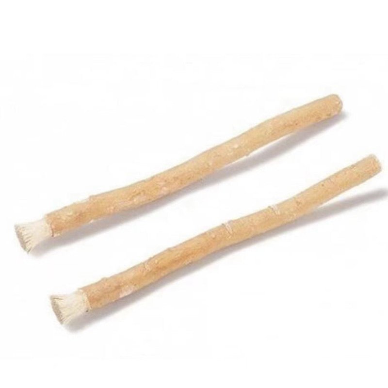 Home Cleaning Teeth Brushing Stick - Multi-Color Tree Branch Design