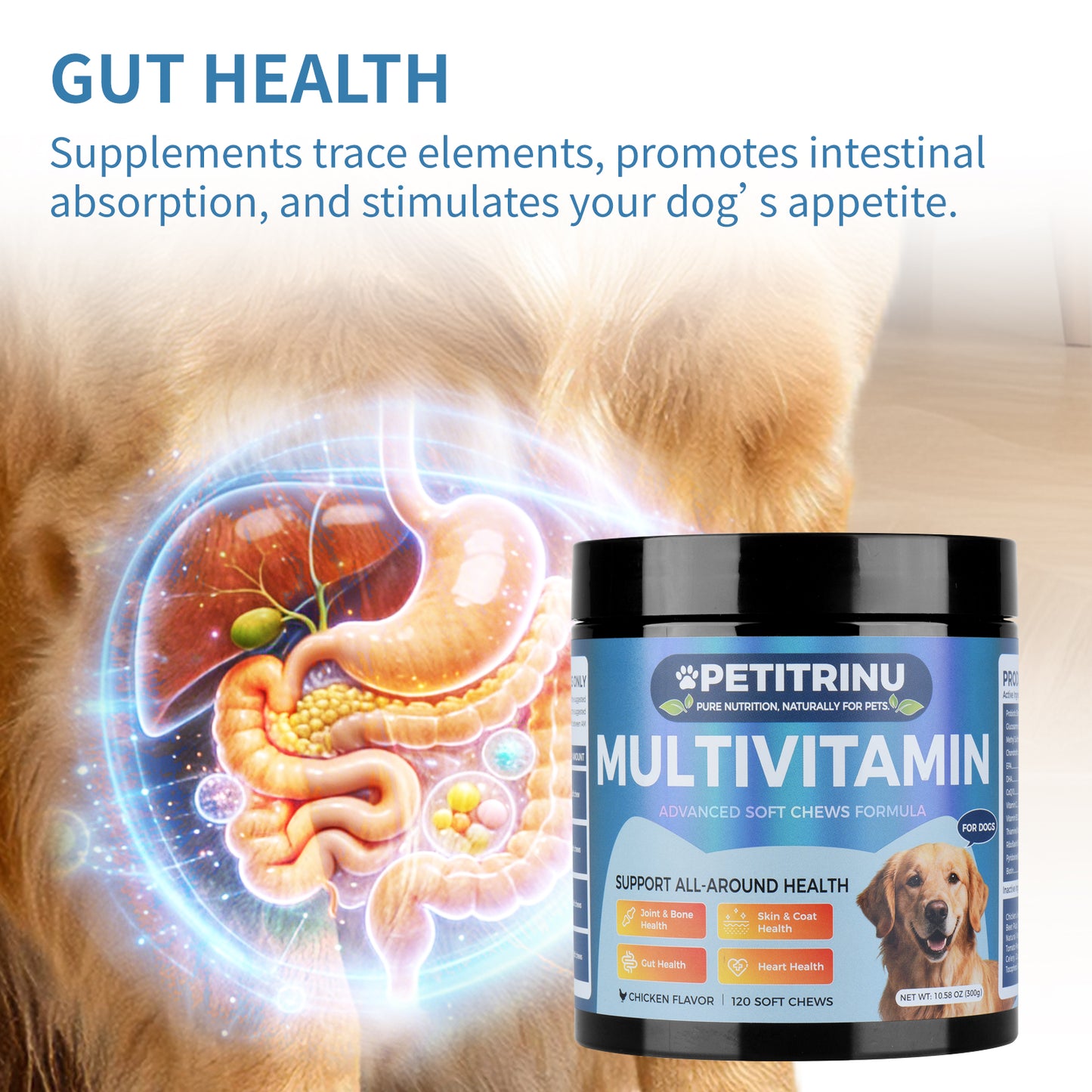 Multivitamins for Dogs - Pet Snacks for Health & Vitality