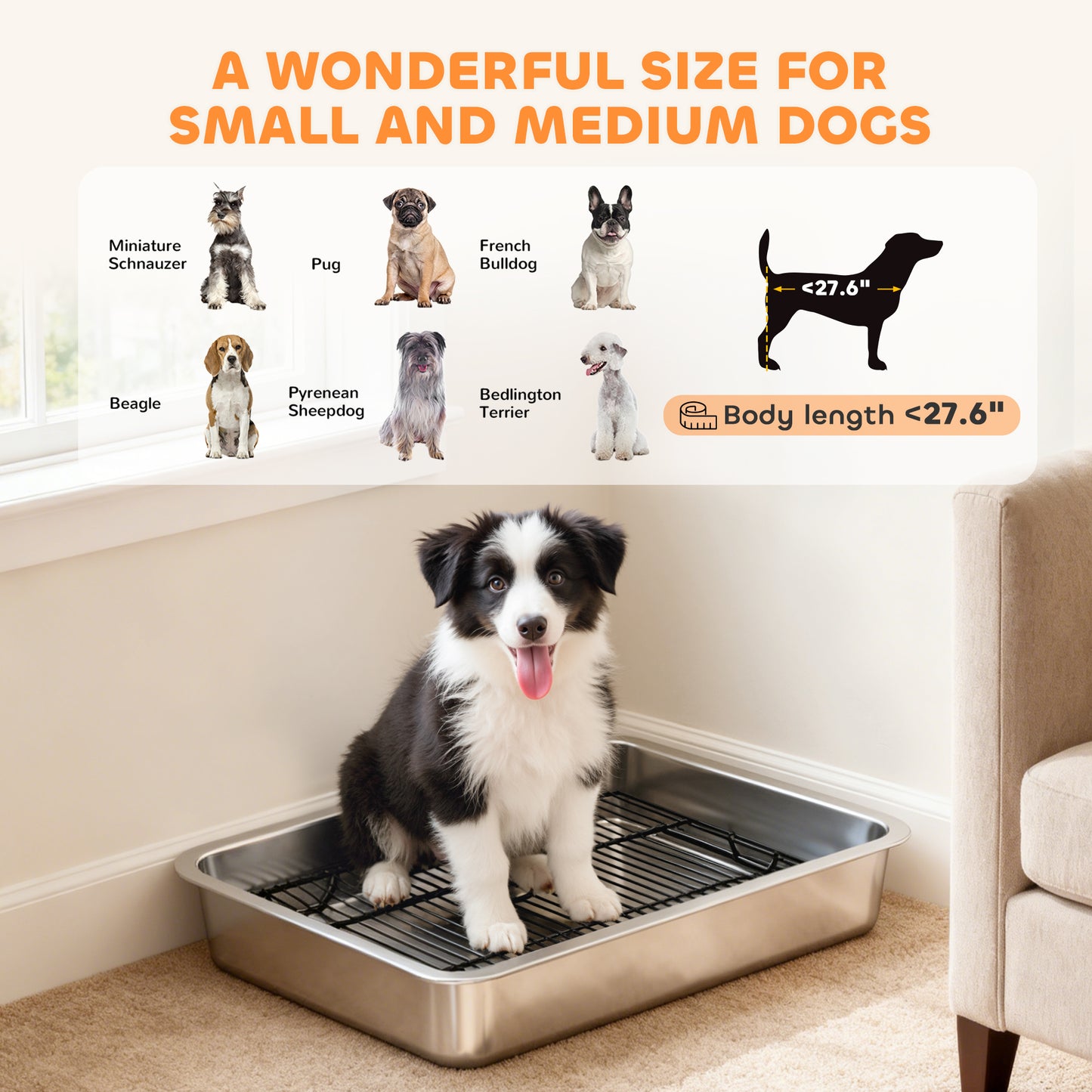 Stainless Steel Dog Potty Tray for Small & Medium Dogs, Indoor Outdoor Use