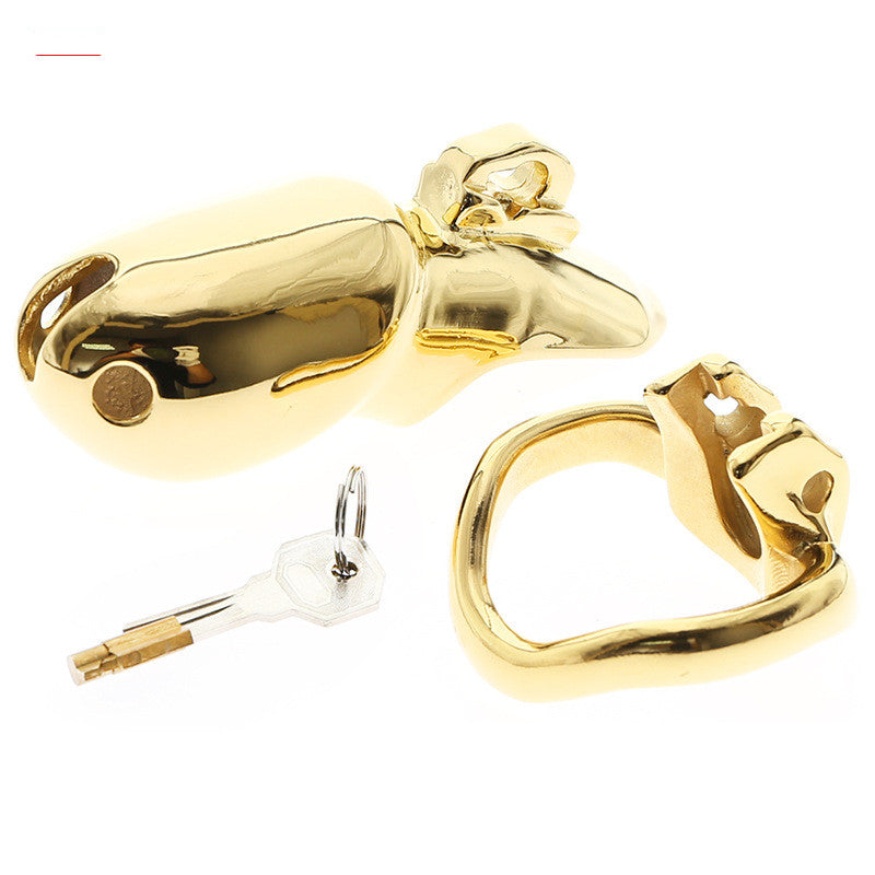 Stainless Steel Locking Toy for Adults - Multiple Sizes & Styles