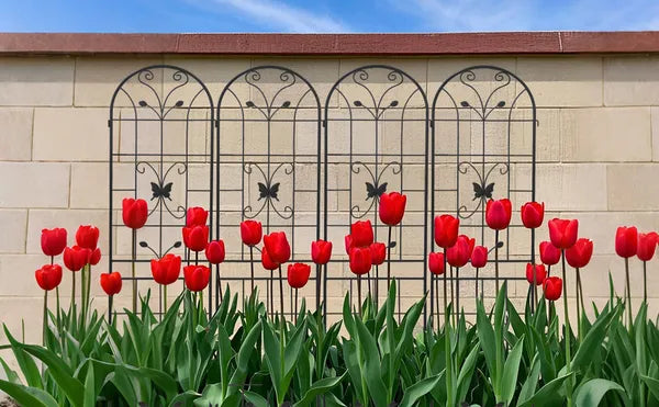 Metal Garden Trellis - 86.7" x 19.7" Rustproof Support for Climbing Plants