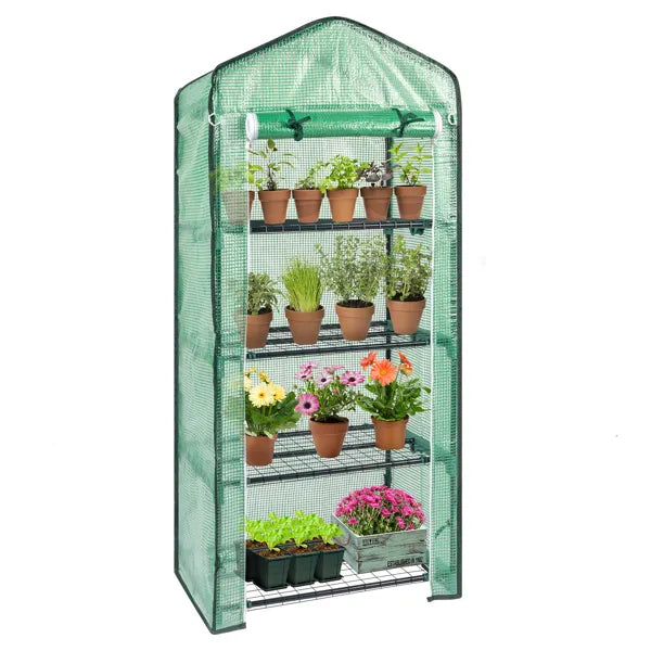 Portable Greenhouse with 4 Shelves - Black Iron Frame