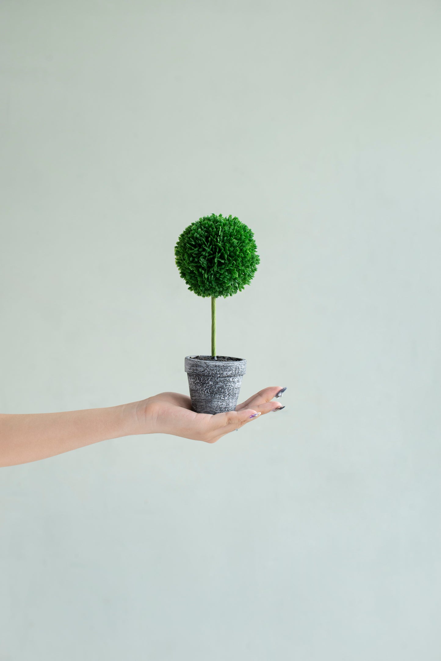Mini Faux Potted Boxwood Topiaries - Set of 3 Green