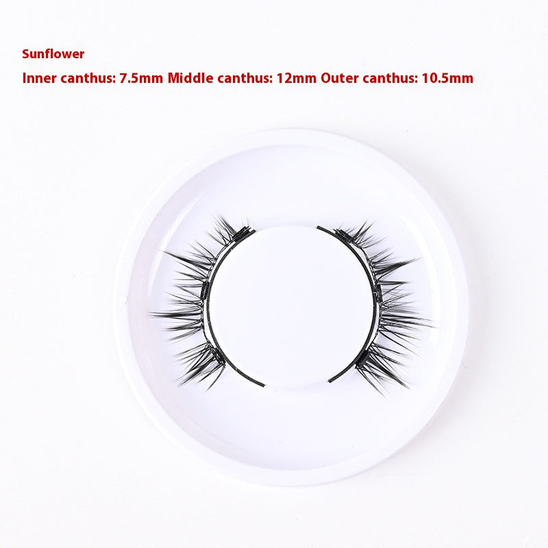 Magnetic Glue-Free False Eyelashes - Natural Look, Long-Lasting, Collection Use