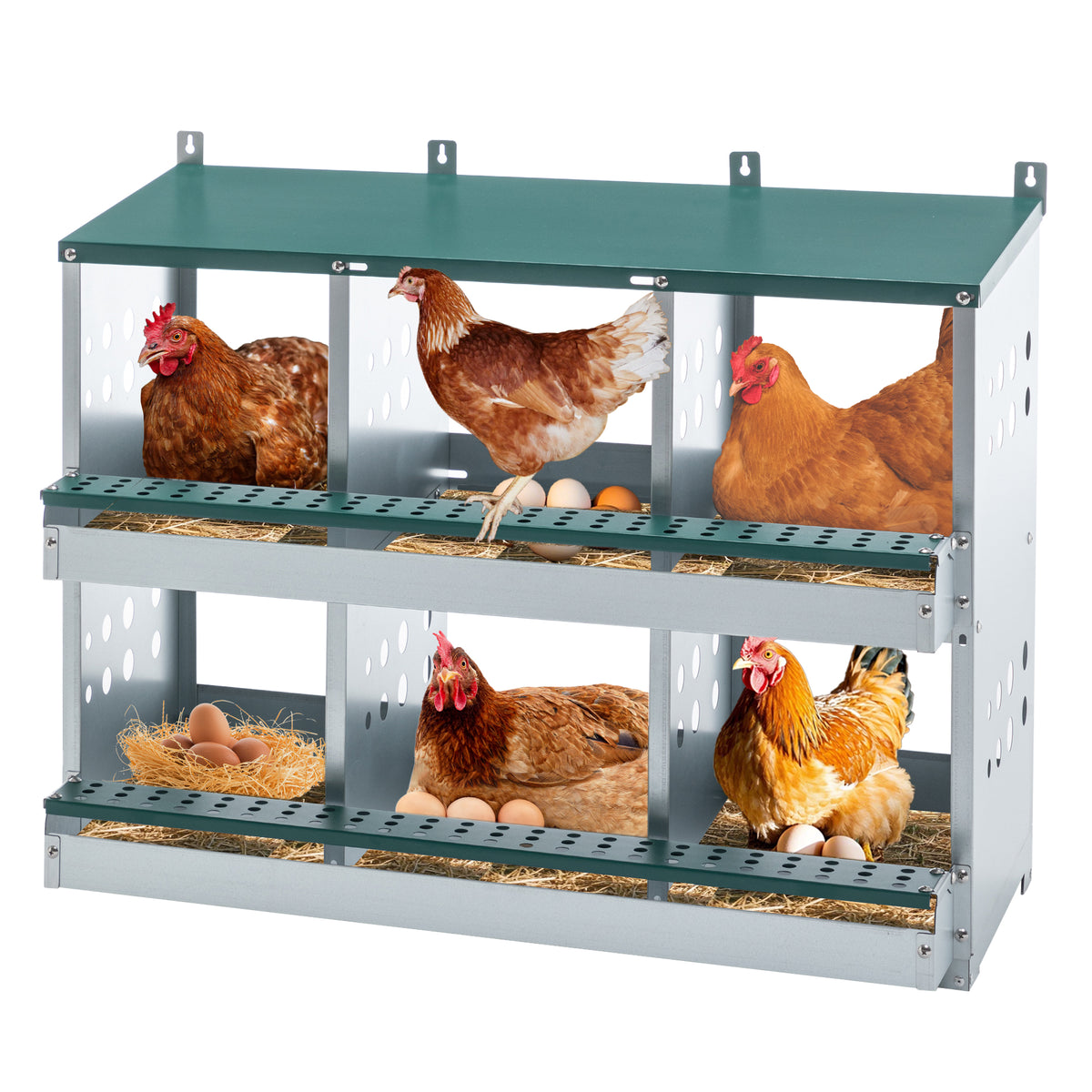Green Chicken Nesting Box with Roll-Away Egg Collection - 6 Compartments