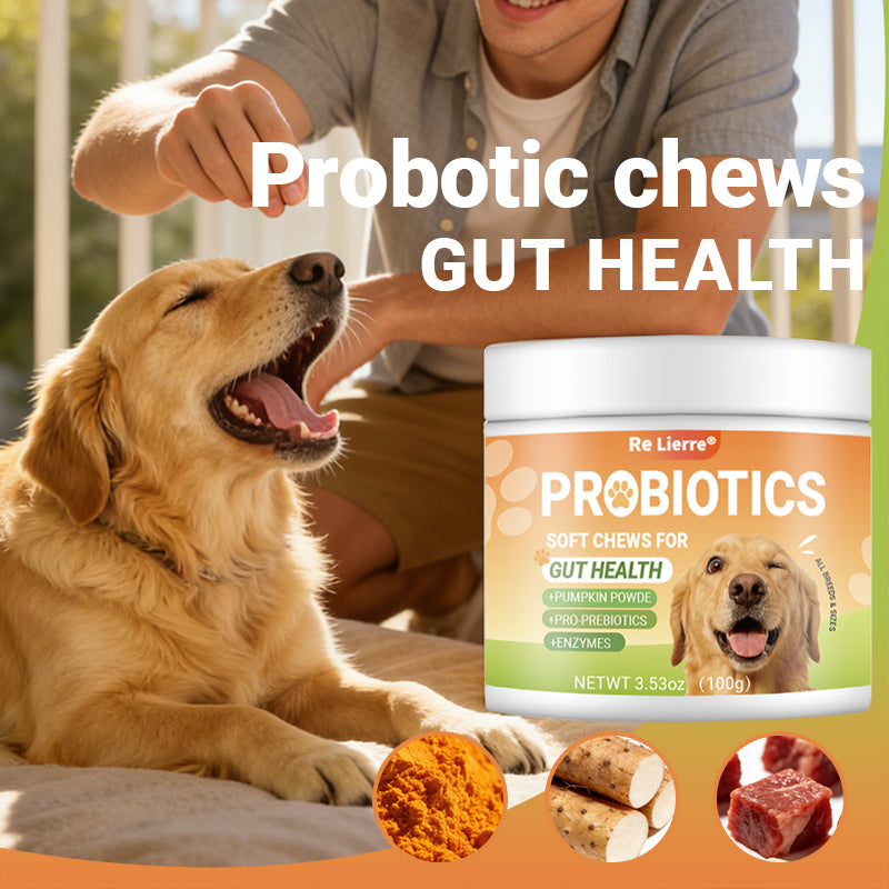 Dog Probiotics Soft Chews for Digestive Health - 40 Servings