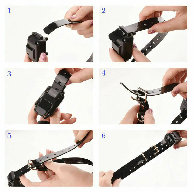 Dog Training Collar with Remote Shock and Waterproof PET Trainer - Rechargeable, US Standard