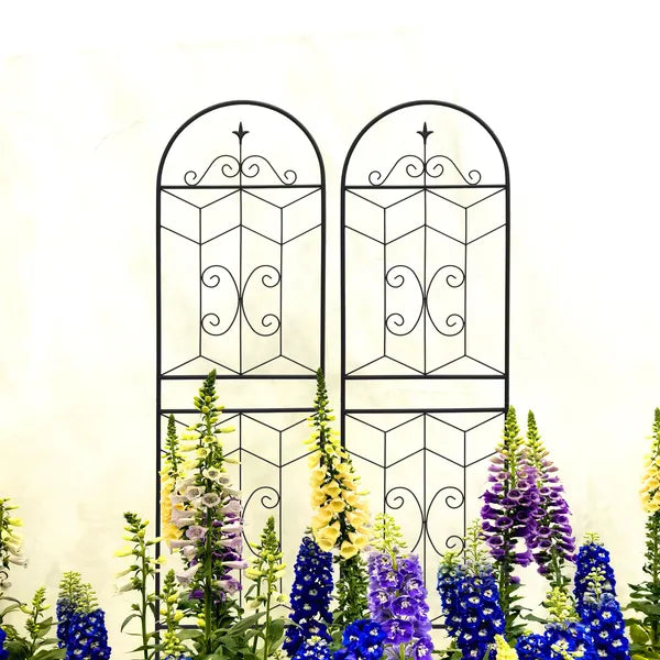Metal Garden Trellis - 71" x 19.7" Rustproof Support for Climbing Plants - Black