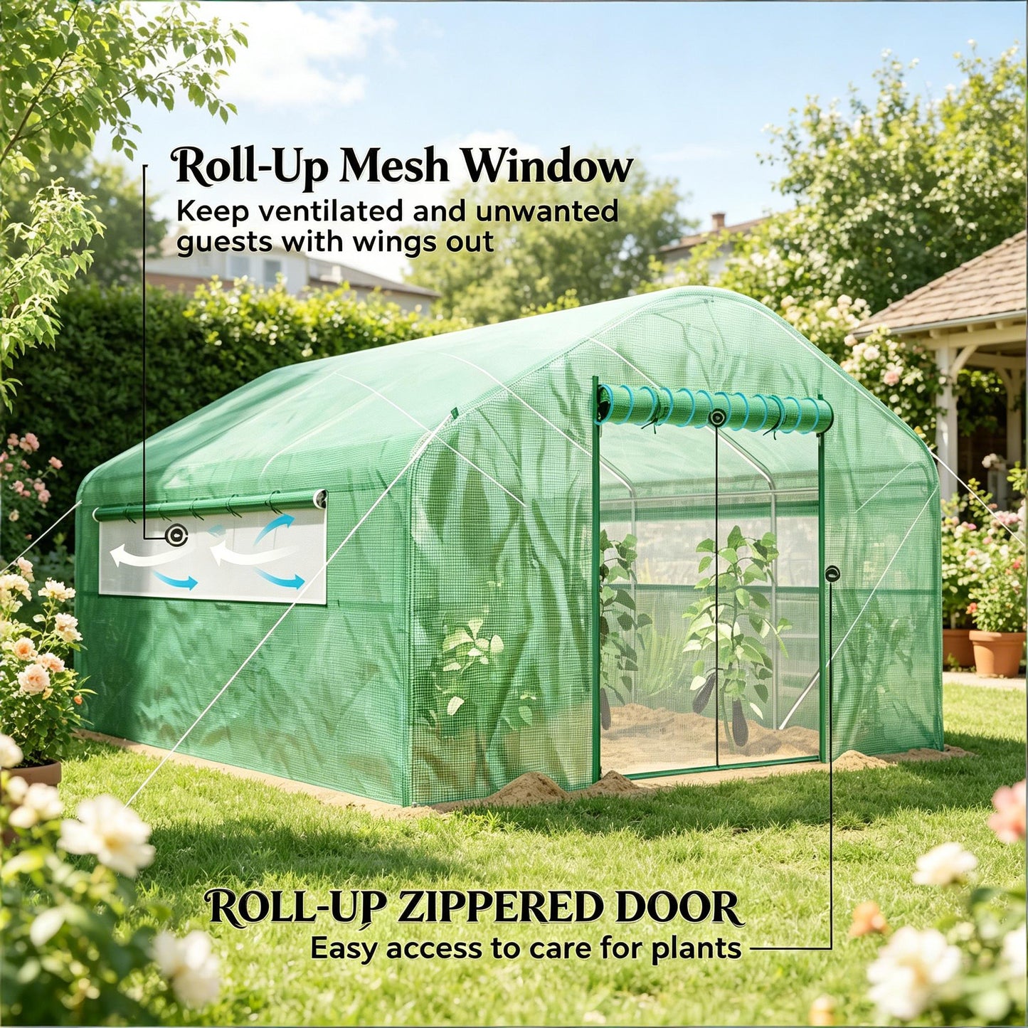 Outdoor Greenhouse with Large Windows - Spacious Tunnel Design