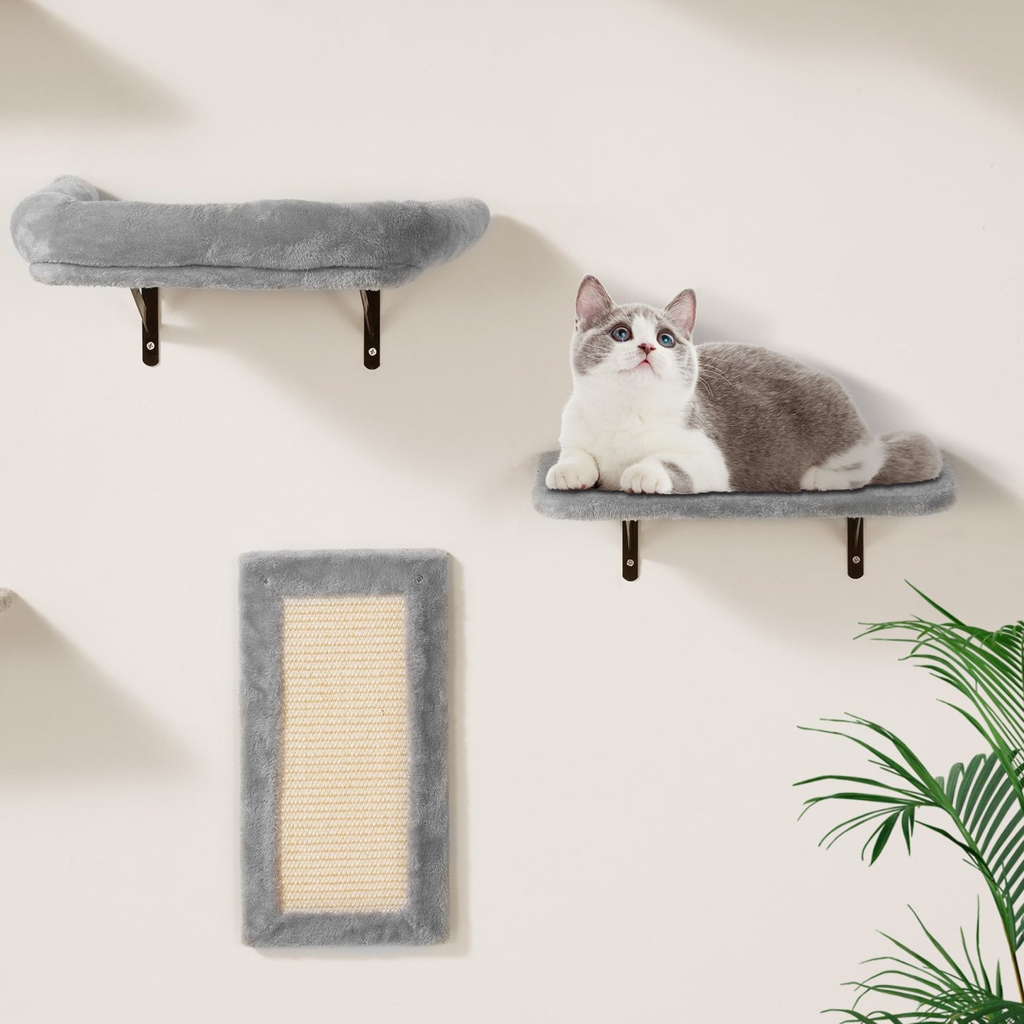 Wall Mounted Cat Shelves Tree Set with Jump Boards Hammock Sofa & Grip - 6 Pieces