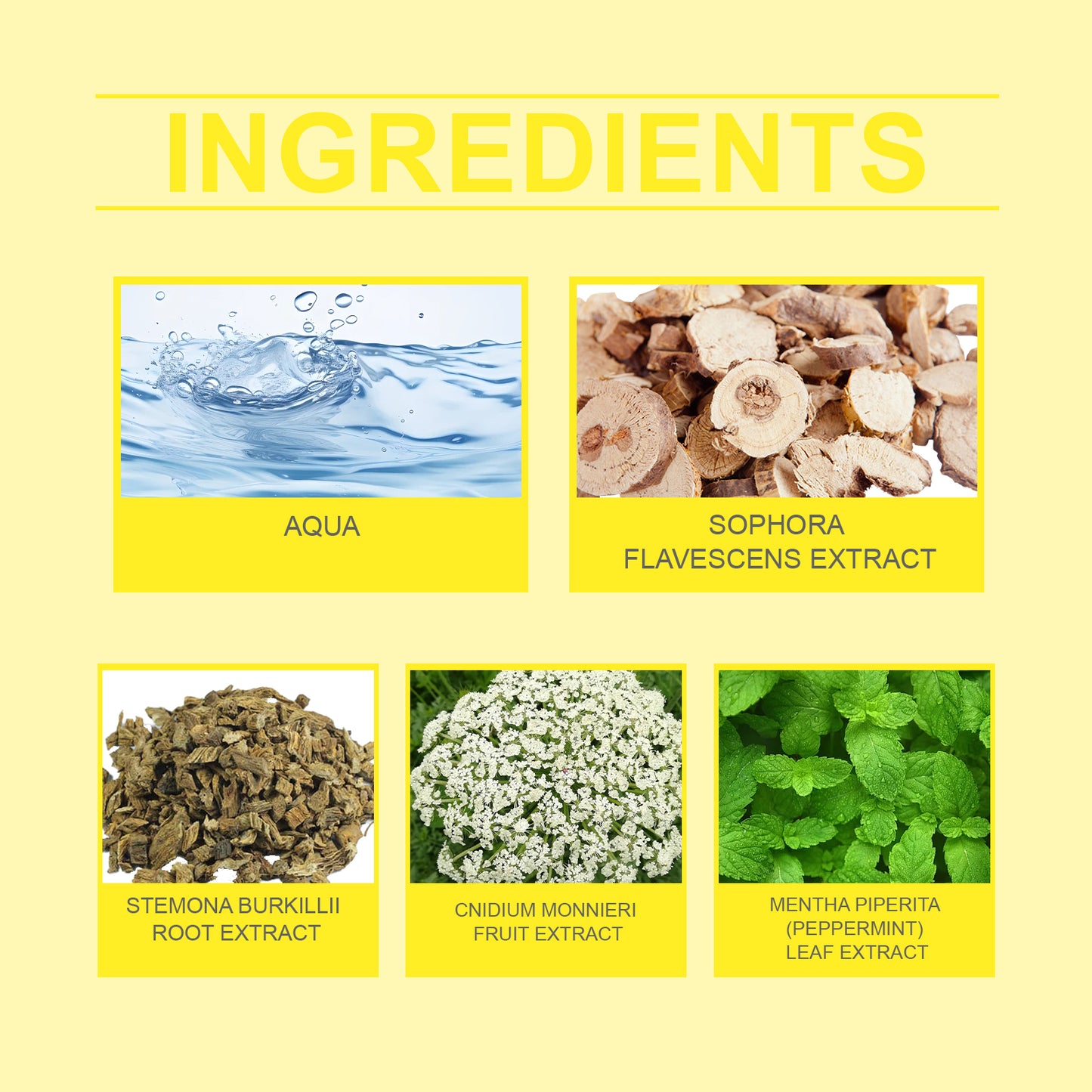 Herbal Nail Repair Solution - Nourishing Nail Growth Treatment