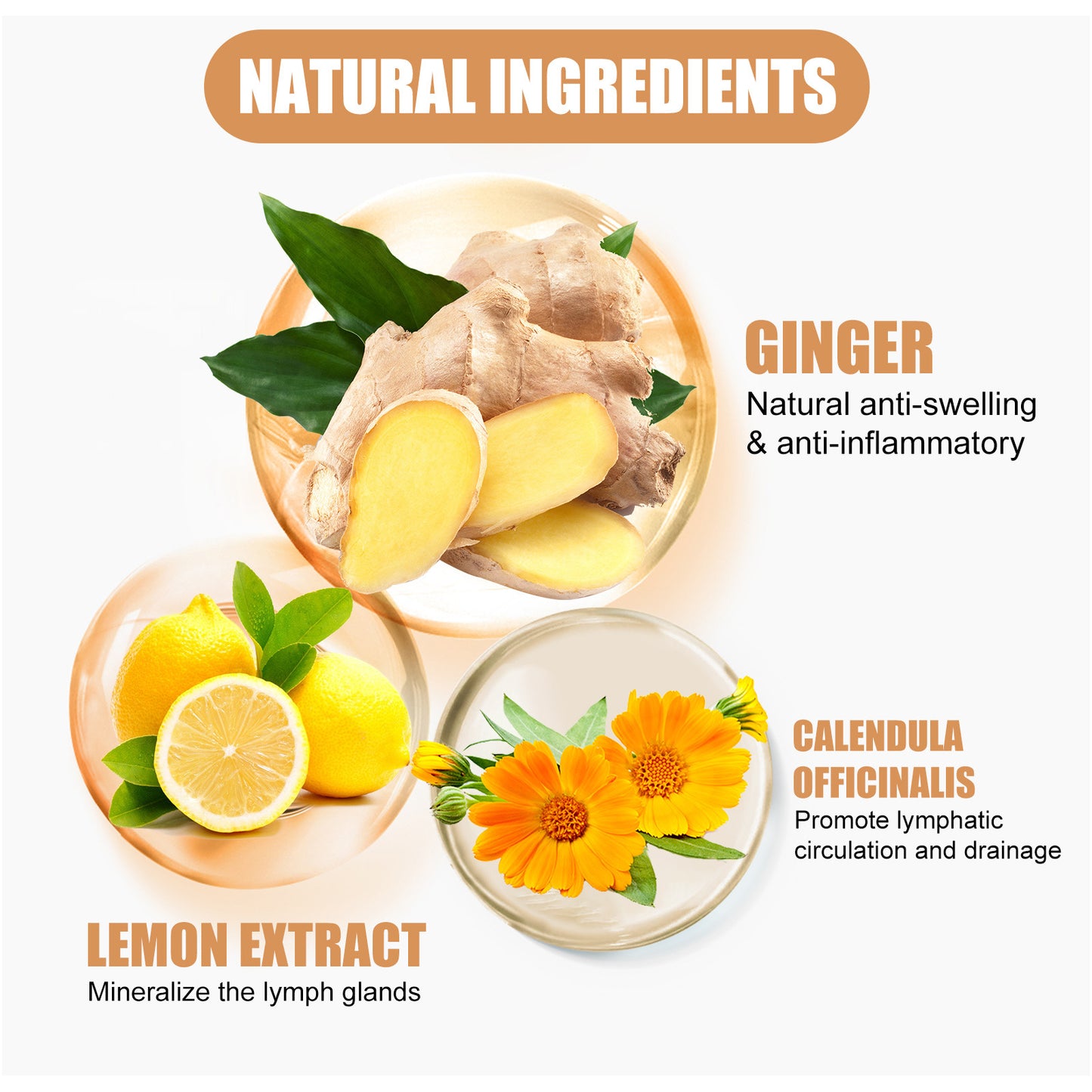 Ginger Lymphatic Drainage Body Wash - Detoxifying & Firming Skin Cleanser