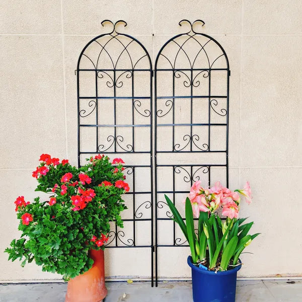 Metal Garden Trellis - 71" x 19.7" Rustproof Support for Climbing Plants