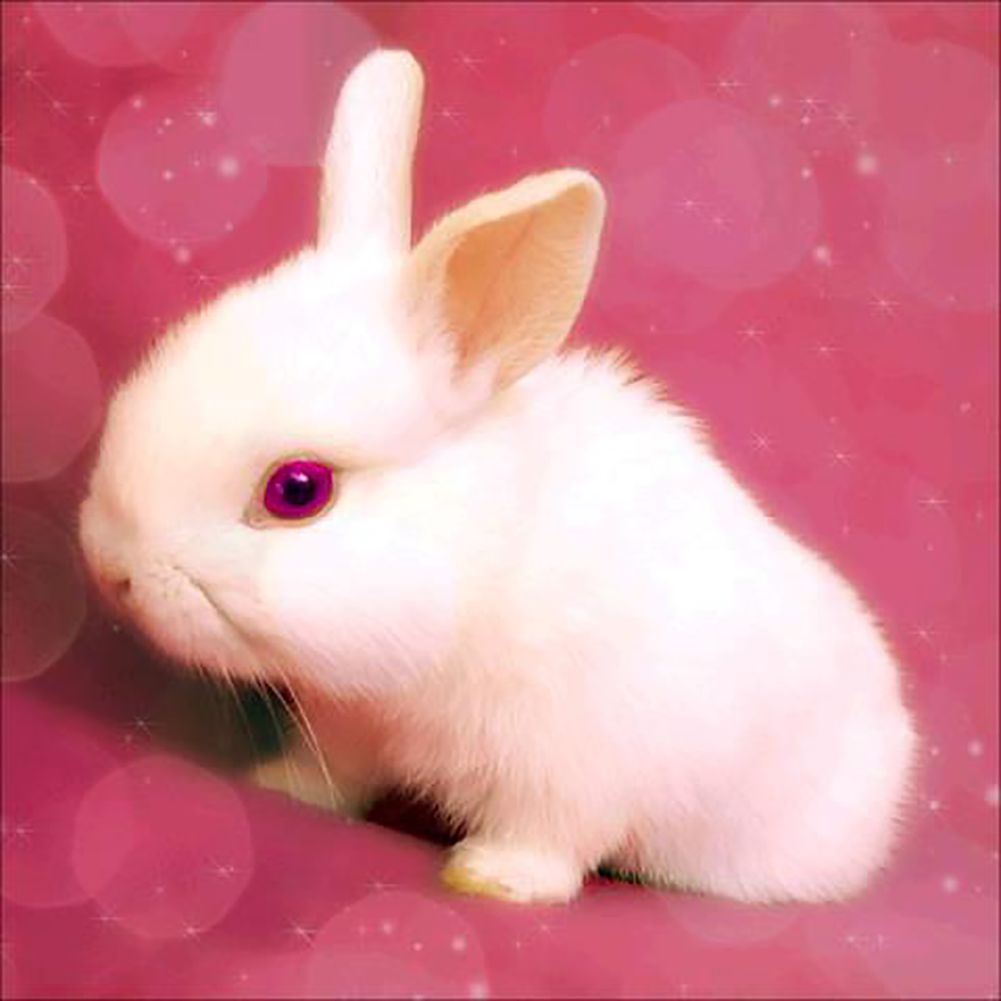 5D Diamond Painting Kit for Animals - Resin Rhinestone Cross Stitch Art