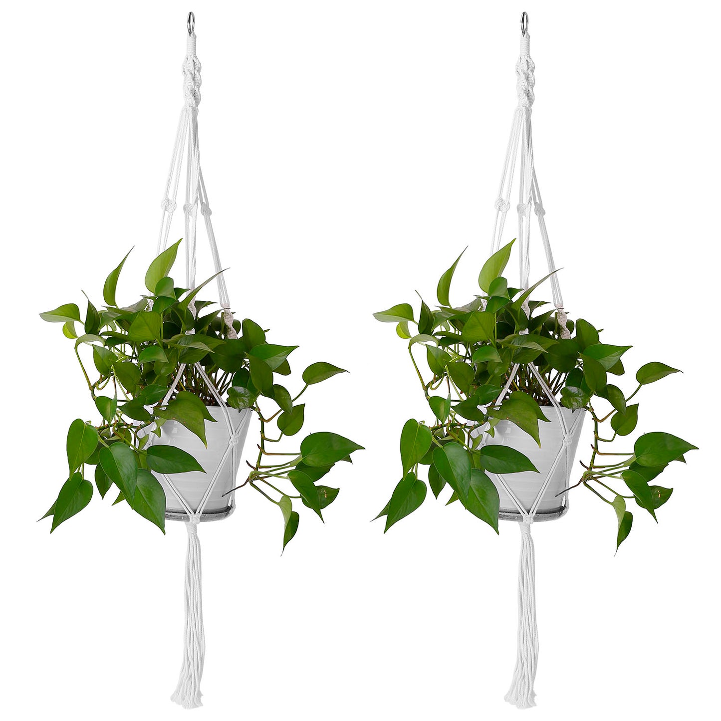 Cotton Rope Plant Hangers - 40in, 2 Pcs, White