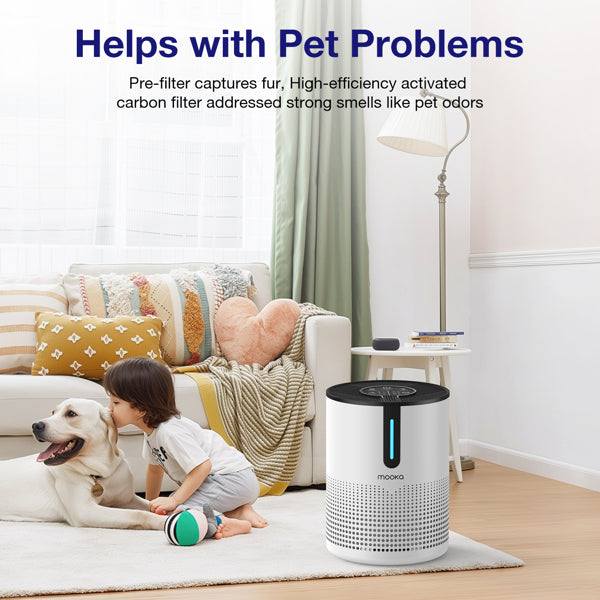 Air Purifier with HEPA Filter - 475 Sq.Ft. Coverage, 4 Speeds