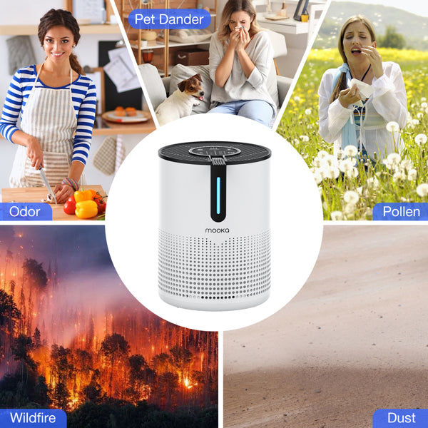 Air Purifier with HEPA Filter - 475 Sq.Ft. Coverage, 4 Speeds