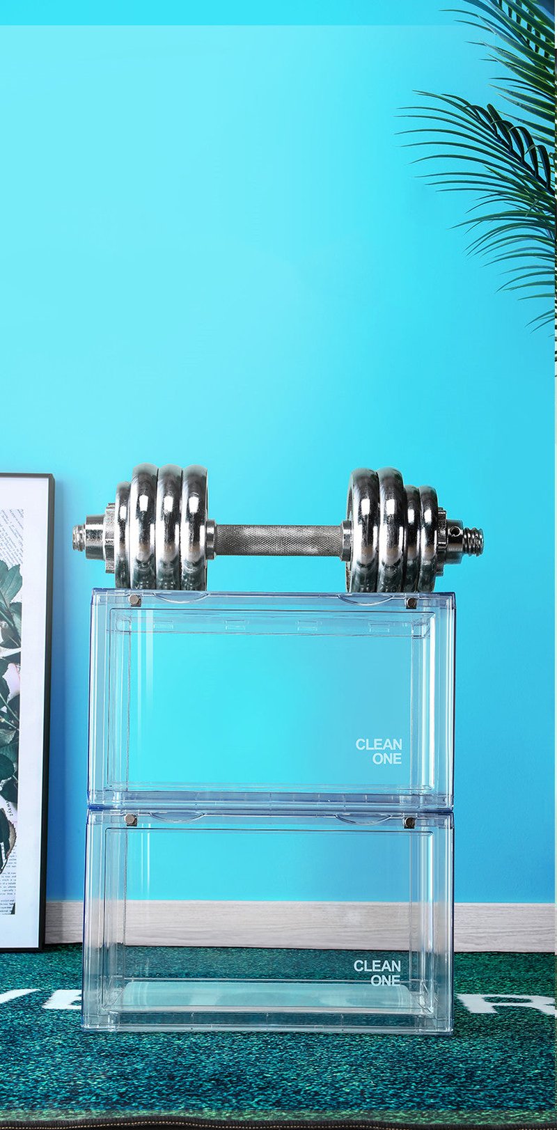 Transparent Shoe Storage Box - Dust-Proof Plastic Closet Organizer